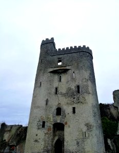 Ballyadams Castle, Laois photo