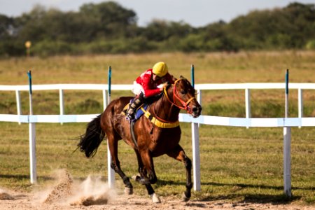08.04.2018 - Prefeita Paula Mascarenhas e o vice Idemar Barz participam do 81º GP Princesa do Sul de Turfe em homenagem à prefeita municipal - Foto: Gustavo Vara