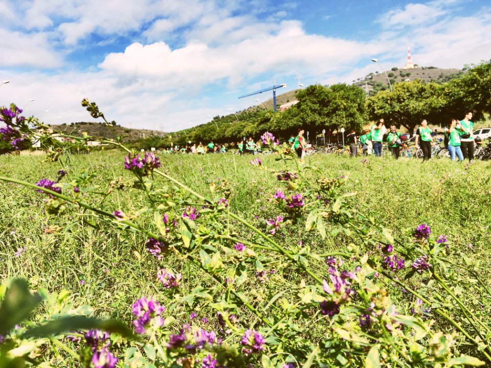 Las rondas verdes 🌾🌸 #DesCobrirLesRondes #CiutatOberta #CTPA #Energies