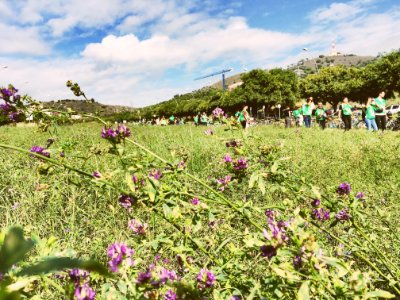 Las rondas verdes 🌾🌸 #DesCobrirLesRondes #CiutatOberta #CTPA #Energies