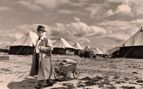 displaced
