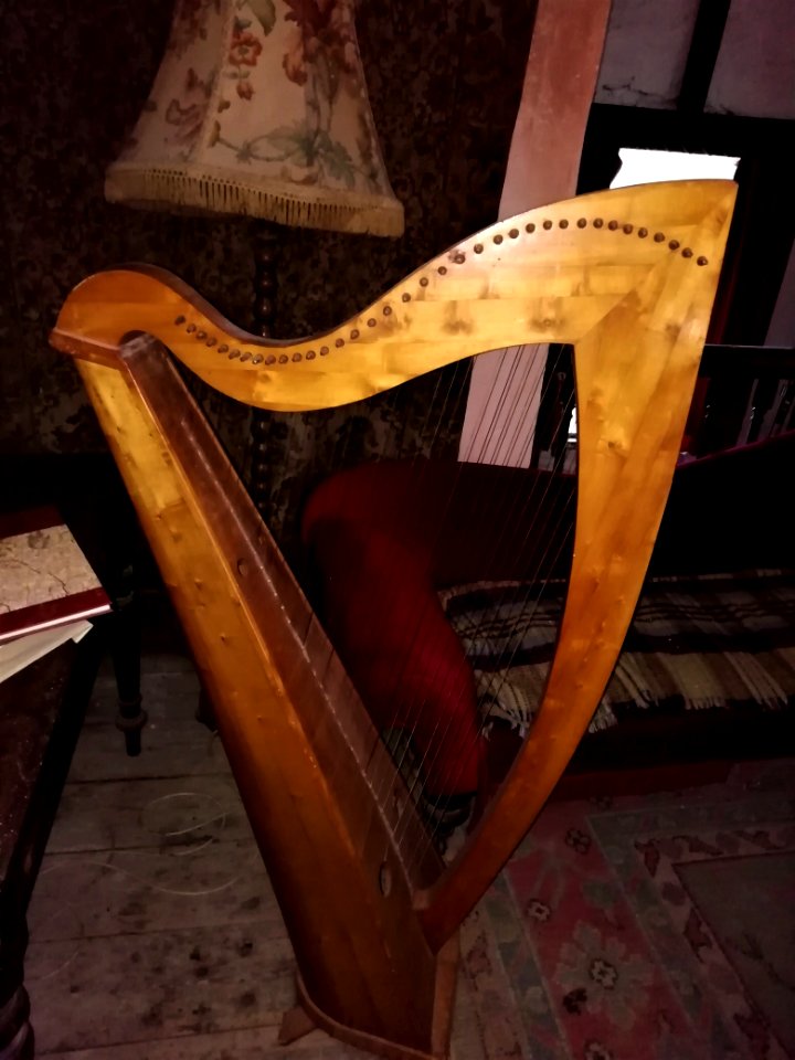 Leap Castle Offaly (12)