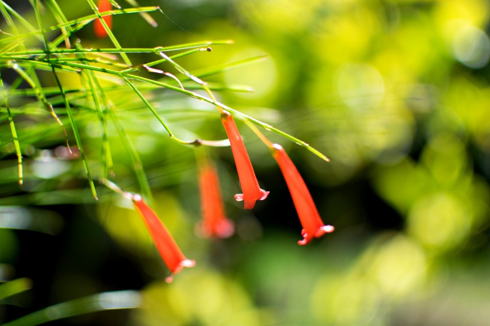 Naturaleza