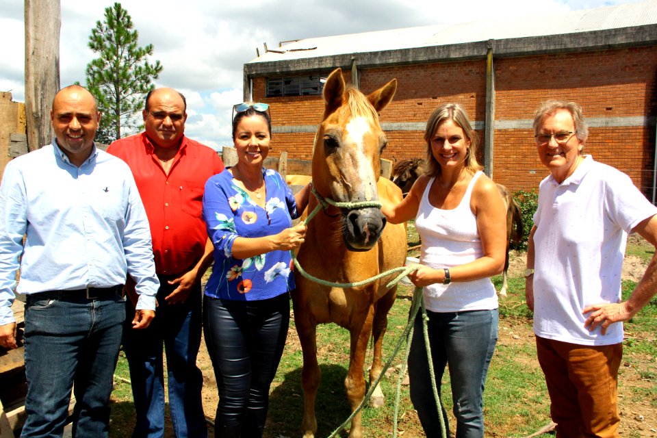 01.03.2018 - Gab Prefeita - Entrega de cavalos e visita as novas instalações da hospedaria - Foto Marcel Avila