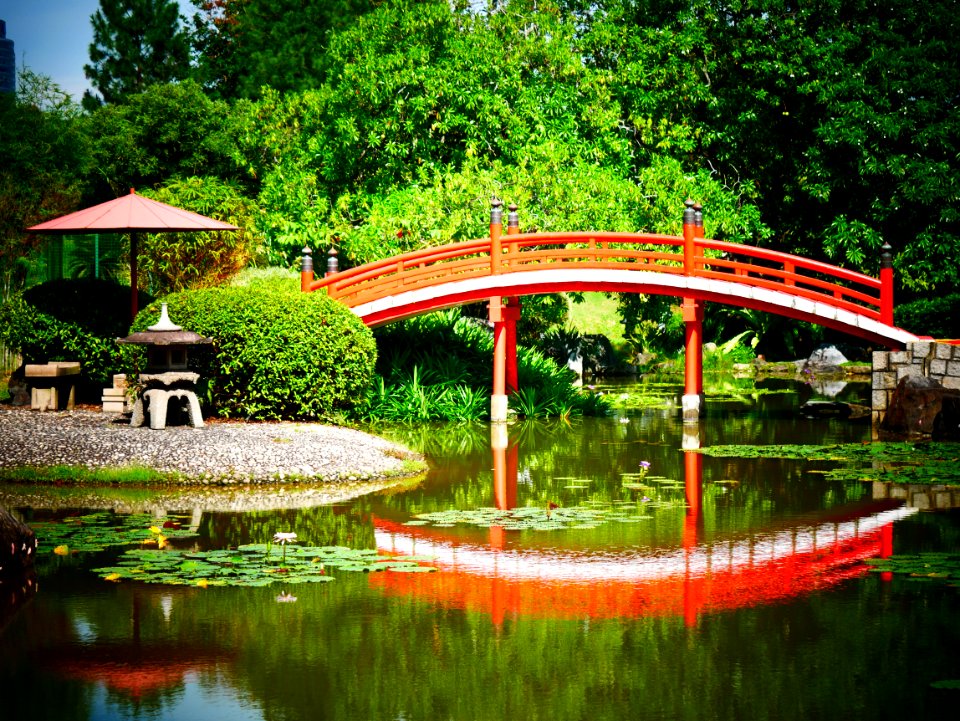 japanese garden - red is the color photo
