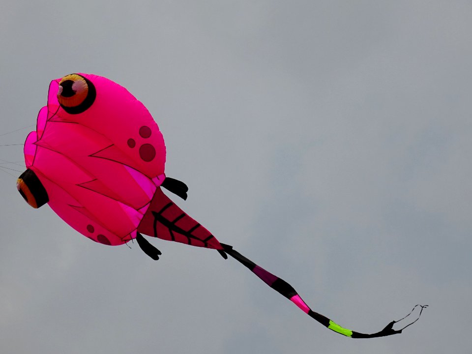 02 kite