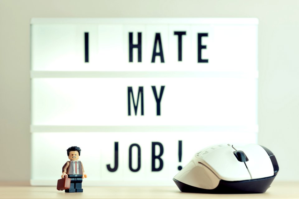 I Hate My Job photo