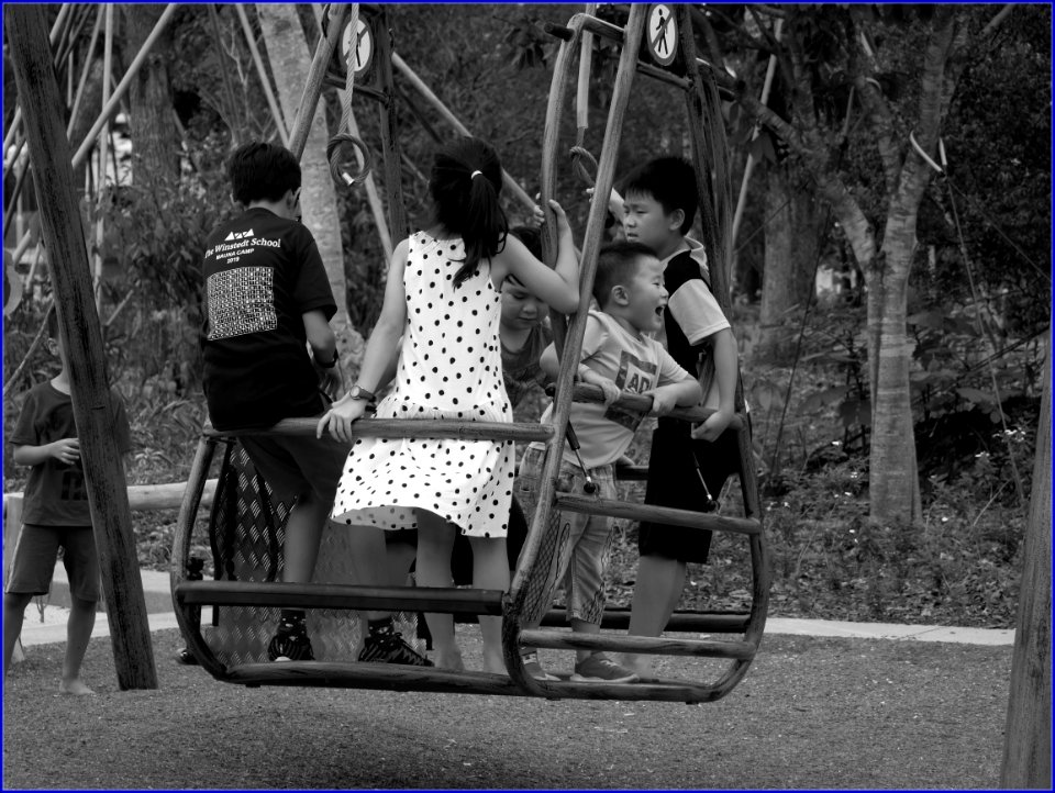 fun day @ redeveloped jurong lake gardens - inclusive swing