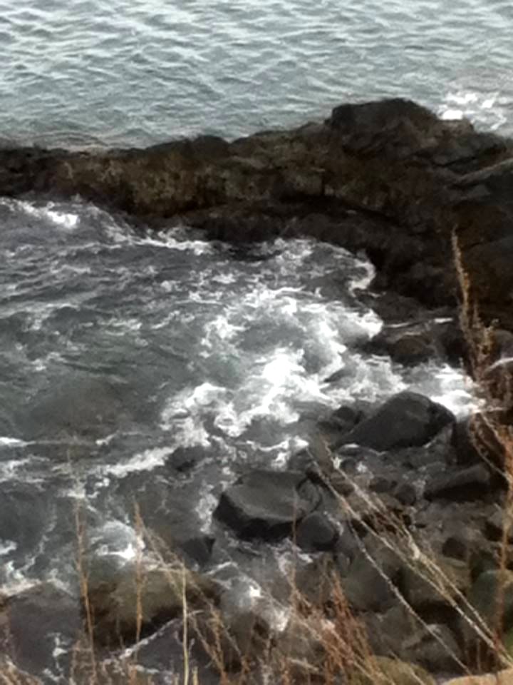 Rocky Shores