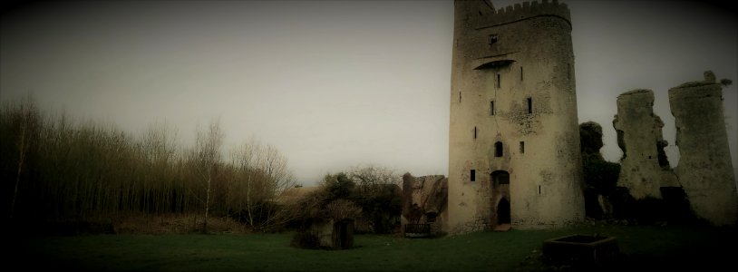 Ballyadams Castle, Laois photo