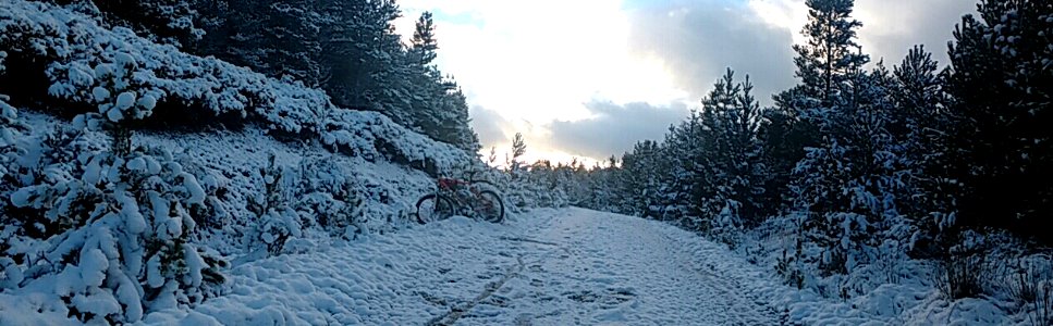 Slieve Bloom Mountains photo