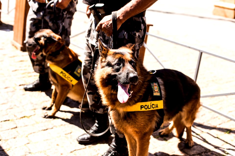 09.12.2019 - Lançamento da Operação Integrada Papai Noel e Tudo Azul, em parceria da Brigada Militar com a Guarda Municipal e a Secretaria de Transporte e Trânsito - Foto: Gustavo Vara