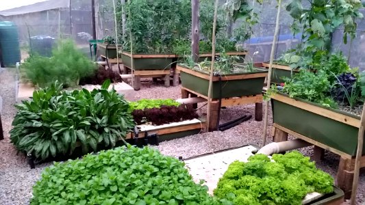 Grow beds with different media
