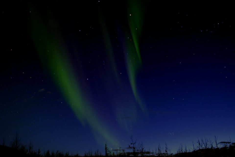 Aurora
