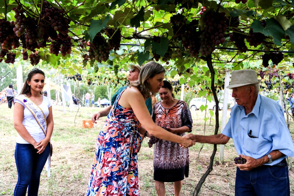 27.01.2018 - Prefeita Paula Mascarenhas durante abertura e Festa da Colheita da Uva, 8º Distrito, Colônia Santa Helena, propriedade de Dirceu Kurz - Foto: Gustavo Vara