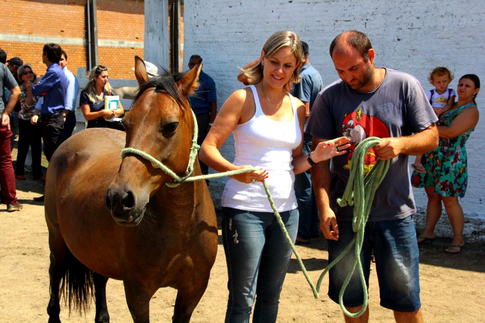 01.03.2018 - Gab Prefeita - Entrega de cavalos e visita as novas instalações da hospedaria - Foto Marcel Avila