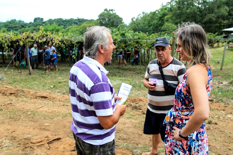 27.01.2018 - Prefeita Paula Mascarenhas durante abertura e Festa da Colheita da Uva, 8º Distrito, Colônia Santa Helena, propriedade de Dirceu Kurz - Foto: Gustavo Vara