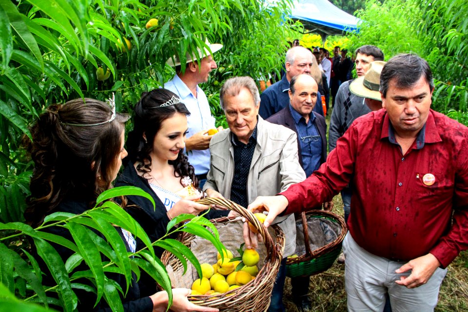 25.11.2017 - Prefeito em exercício Idemar Barz na abertura da Colheita do Pêssego 2017