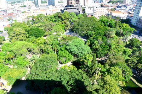 Fotos Aéreas da cidade de Pelotas - Foto ASCOM Janine Tomberg (31)