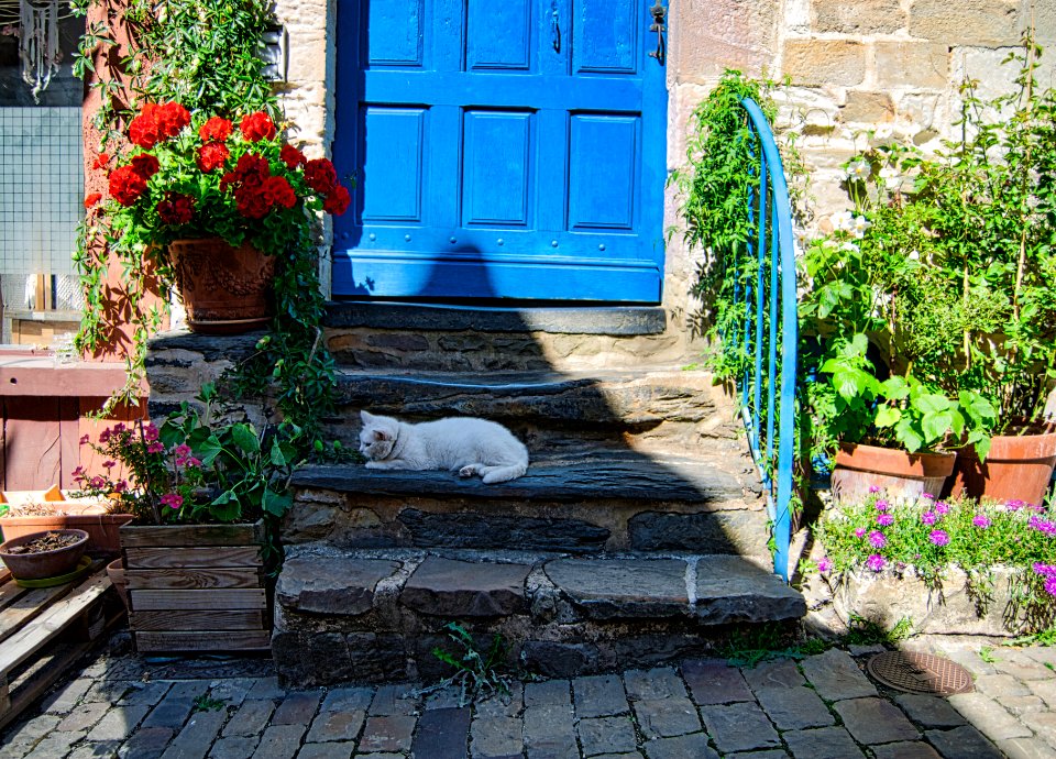 VITRÉ (BREIZH | BRETAGNE | BRETAGNE | BRITTANY)