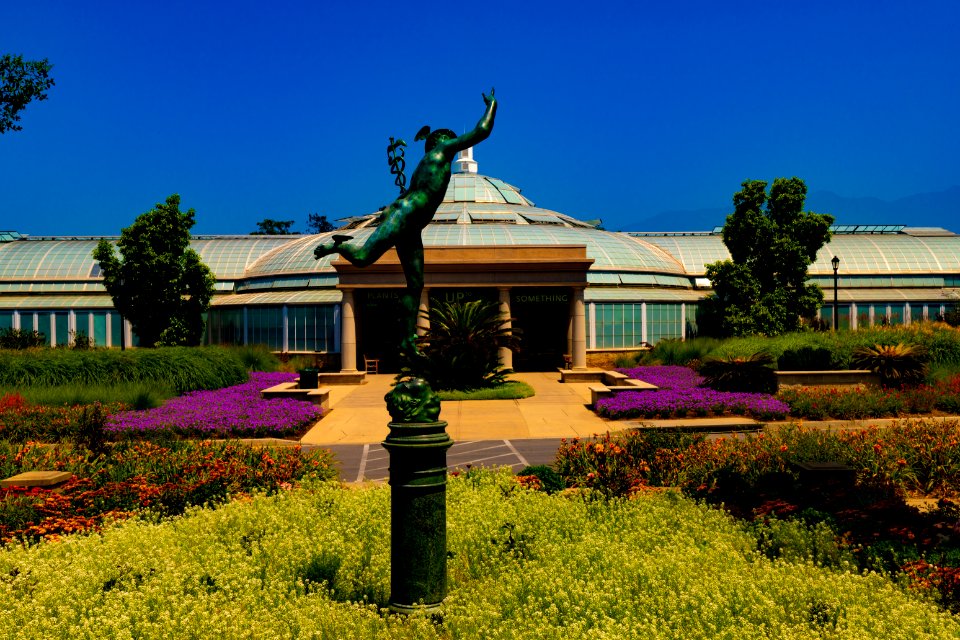 Huntington Library and Botanical Gardens