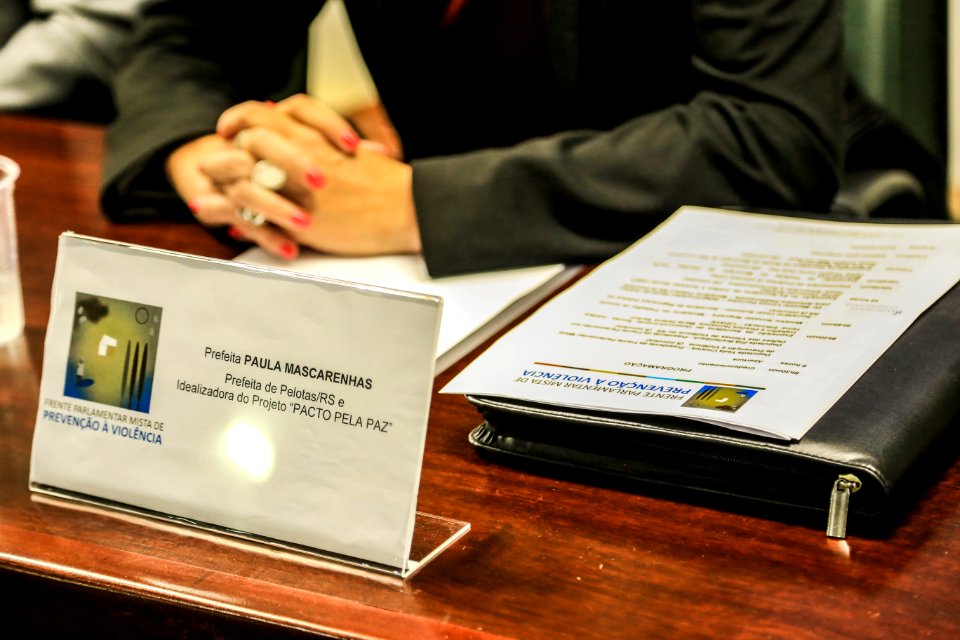 04.12.2017 - Prefeita Paula Mascarenhas na primeira audiência pública da Frente Parlamentar no Plenarinho da Assembleia Legislativa em Porto Alegre RS