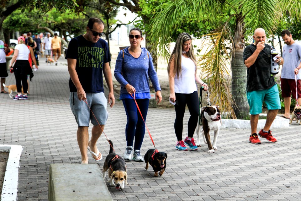28.01.2018 - Prefeita Paula Mascarenhas participa da Cãominhada do jornal Diário Popular na Praia do Laranjal
