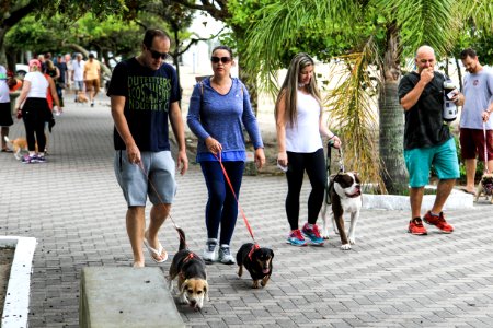 28.01.2018 - Prefeita Paula Mascarenhas participa da Cãominhada do jornal Diário Popular na Praia do Laranjal