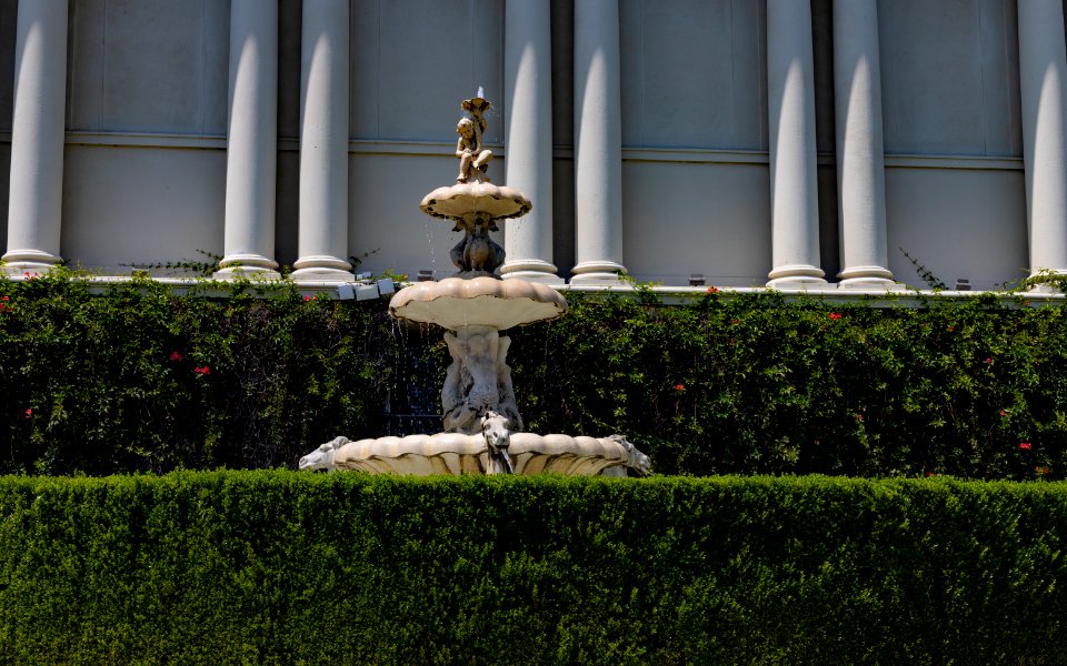 Huntington Library and Botanical Gardens