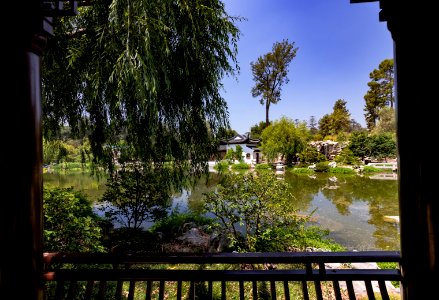 Huntington Library and Botanical Gardens