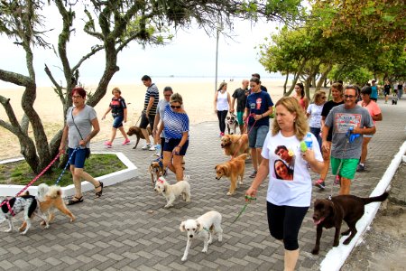 28.01.2018 - Prefeita Paula Mascarenhas participa da Cãominhada do jornal Diário Popular na Praia do Laranjal