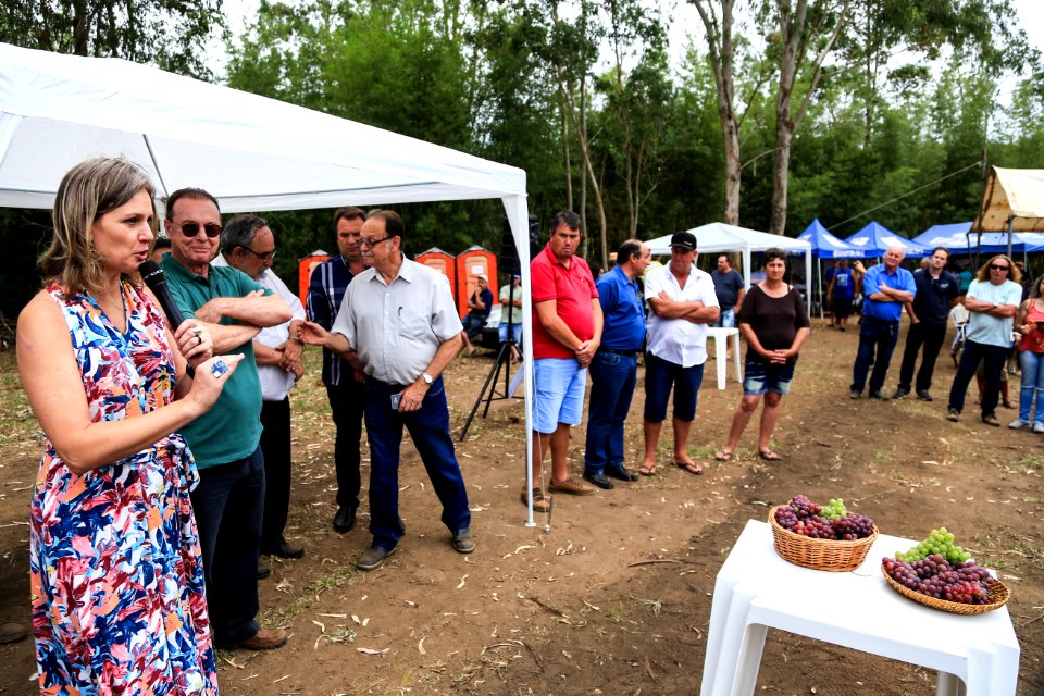 27.01.2018 - Prefeita Paula Mascarenhas durante abertura e Festa da Colheita da Uva, 8º Distrito, Colônia Santa Helena, propriedade de Dirceu Kurz - Foto: Gustavo Vara