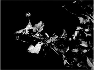 Shadows Erase