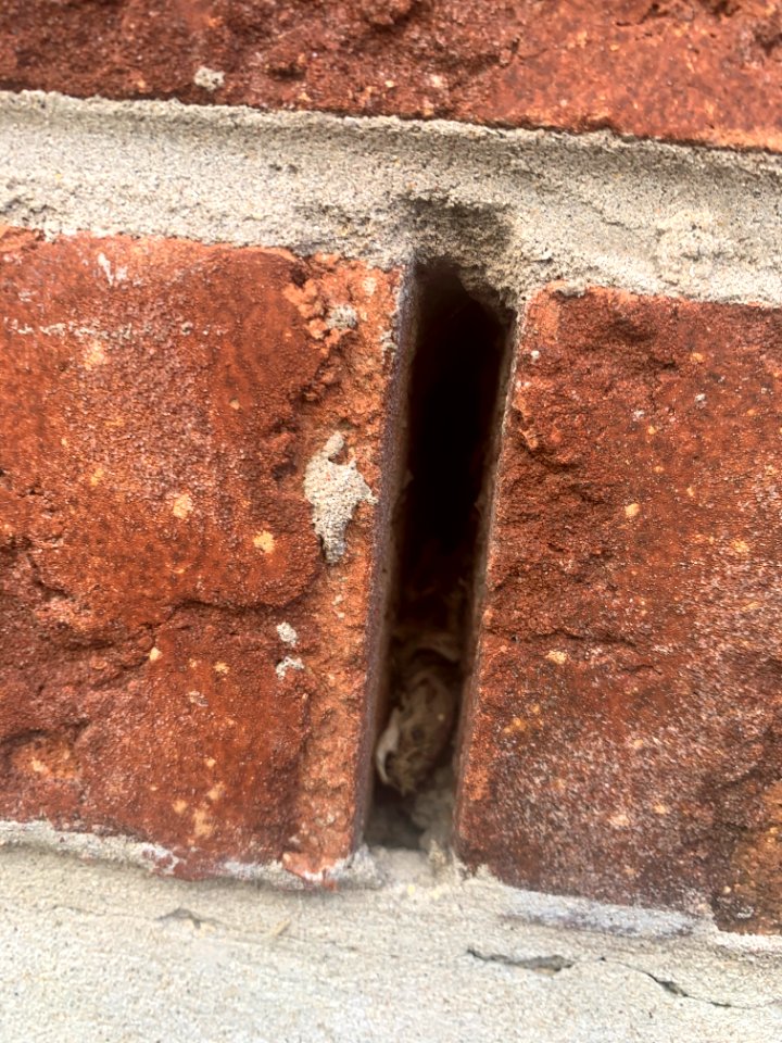 Weeping brick wildlife entry point