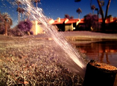 A Sprinkler