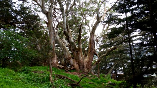 Buena Vista Park