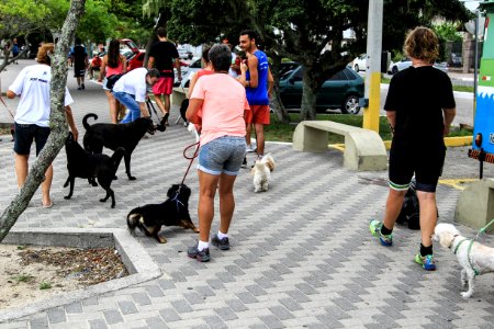 28.01.2018 - Prefeita Paula Mascarenhas participa da Cãominhada do jornal Diário Popular na Praia do Laranjal