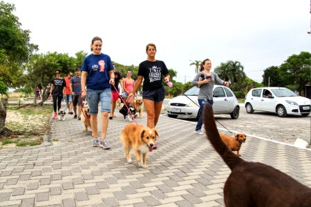 28.01.2018 - Prefeita Paula Mascarenhas participa da Cãominhada do jornal Diário Popular na Praia do Laranjal
