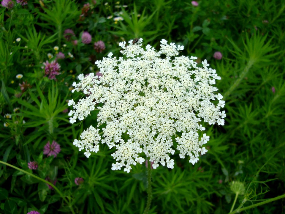 DSC00120