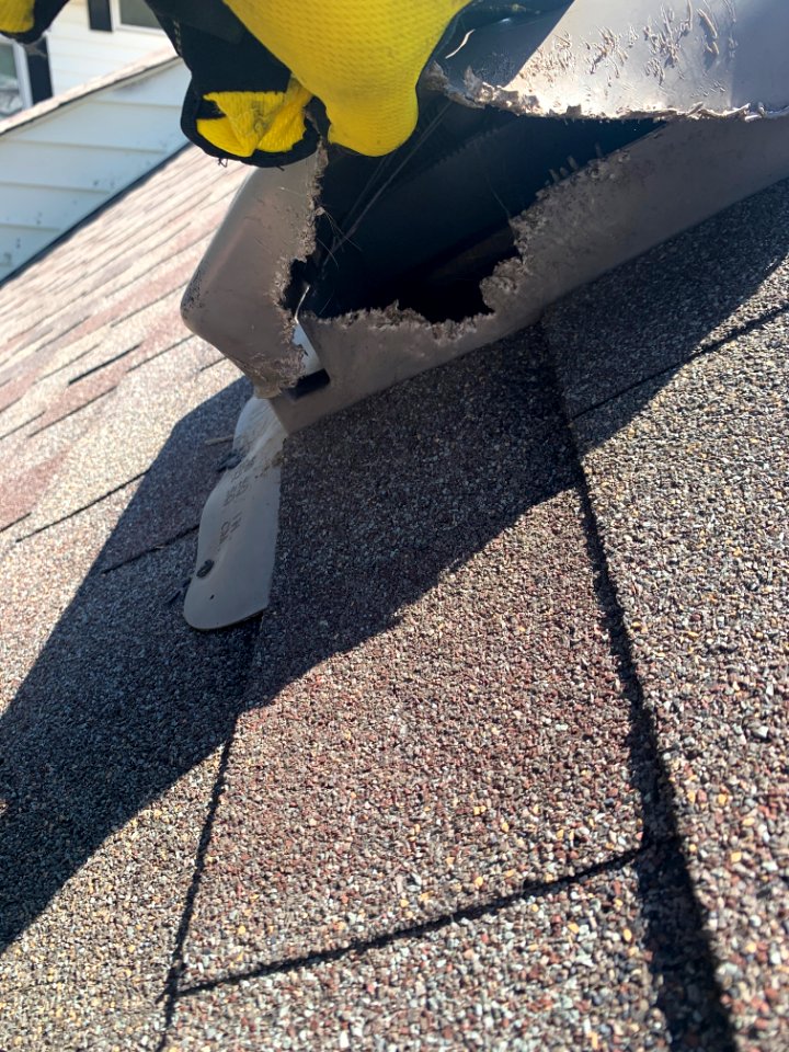 Damaged roof vent by squirrel