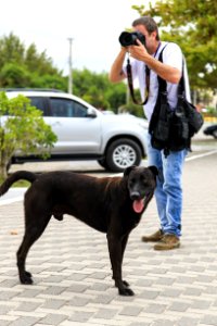 28.01.2018 - Prefeita Paula Mascarenhas participa da Cãominhada do jornal Diário Popular na Praia do Laranjal