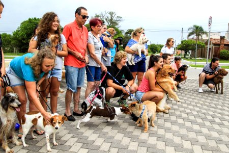 28.01.2018 - Prefeita Paula Mascarenhas participa da Cãominhada do jornal Diário Popular na Praia do Laranjal
