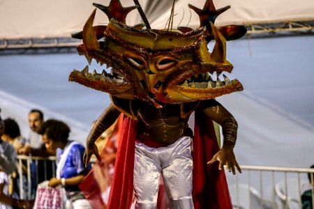 Carnaval 2018 Escola de Samba Academia do Samba - Fotos Gustavo Mansur