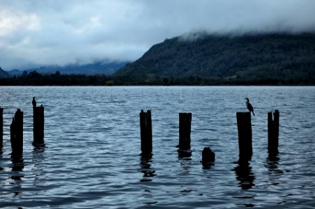 Lago Ranco (3) - Futrono photo