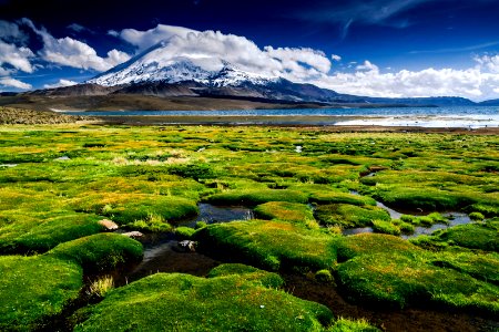 Lago Chungara - Parque Nacional Lauca