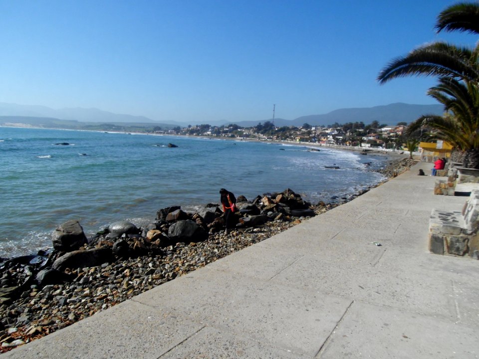 Playa de Los Vilos photo