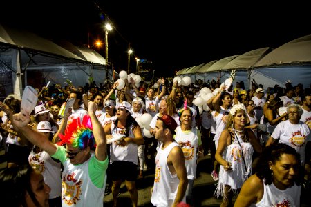 12.02.2018 - Bloco da Paz desfila na Passarela do Samba no Porto de Pelotas - Foto: Gustavo Vara