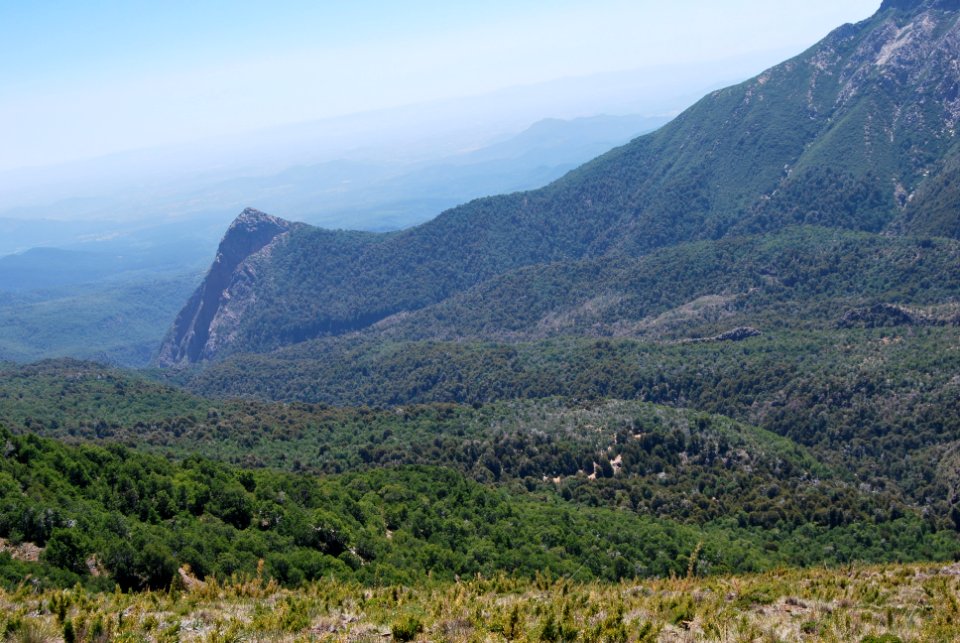 Reserva Nacional Altos de Lircay - San Clemente