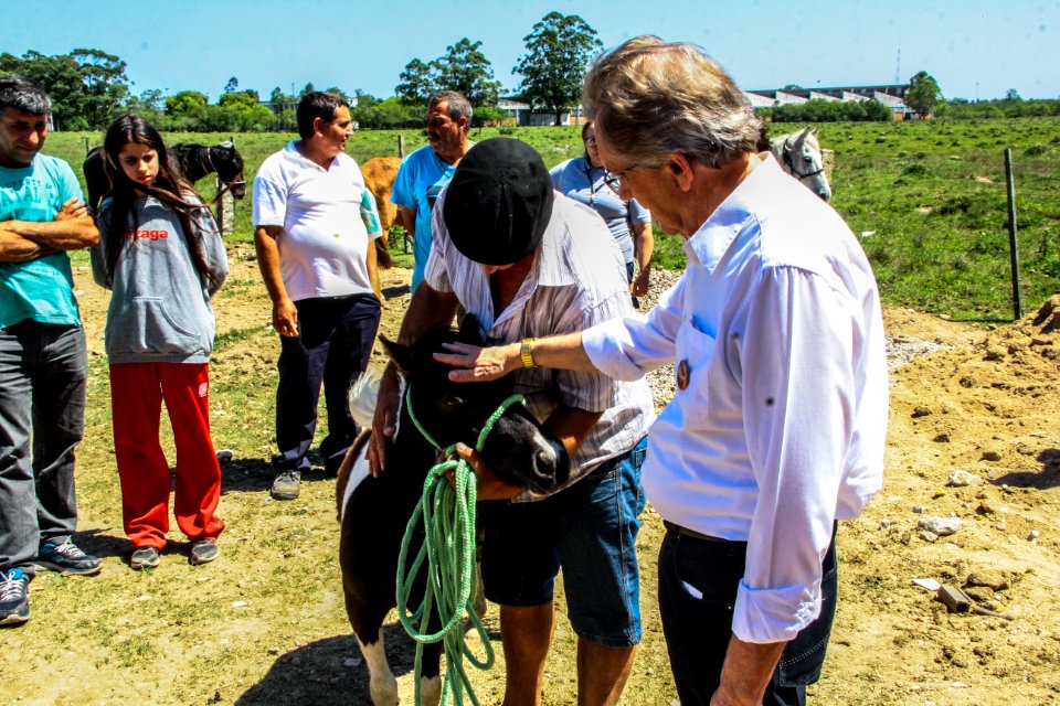 14.11.2017 - Vice-prefeito Idemar Barz no evento de doação de cavalos da Hospedaria Municipal