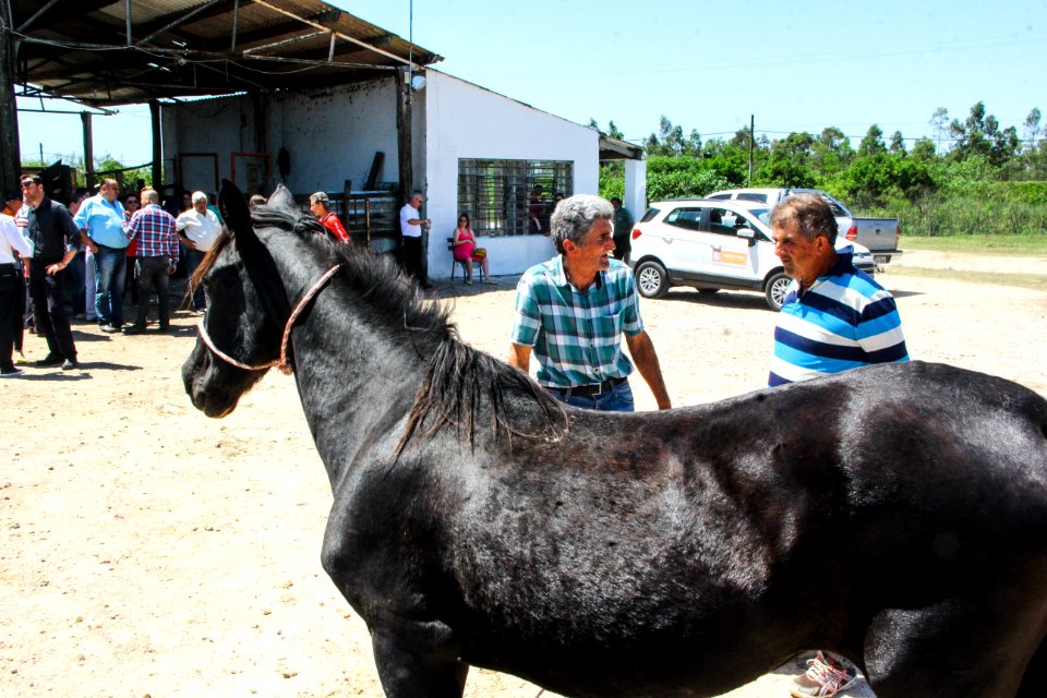 14.11.2017 - Vice-prefeito Idemar Barz no evento de doação de cavalos da Hospedaria Municipal